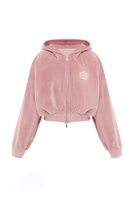 Velour Forbidden Relics Hoodie Pink